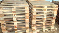 timber timber products and plank