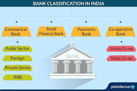 financial and para banking institutions