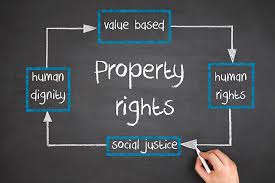 property rights