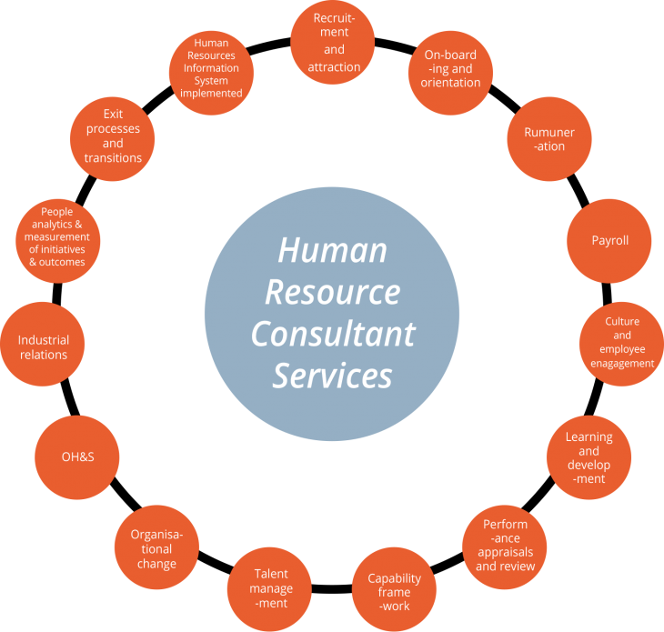 human resource consultants