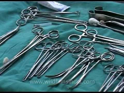 medical surgical instruments and apparatus