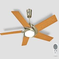 fans