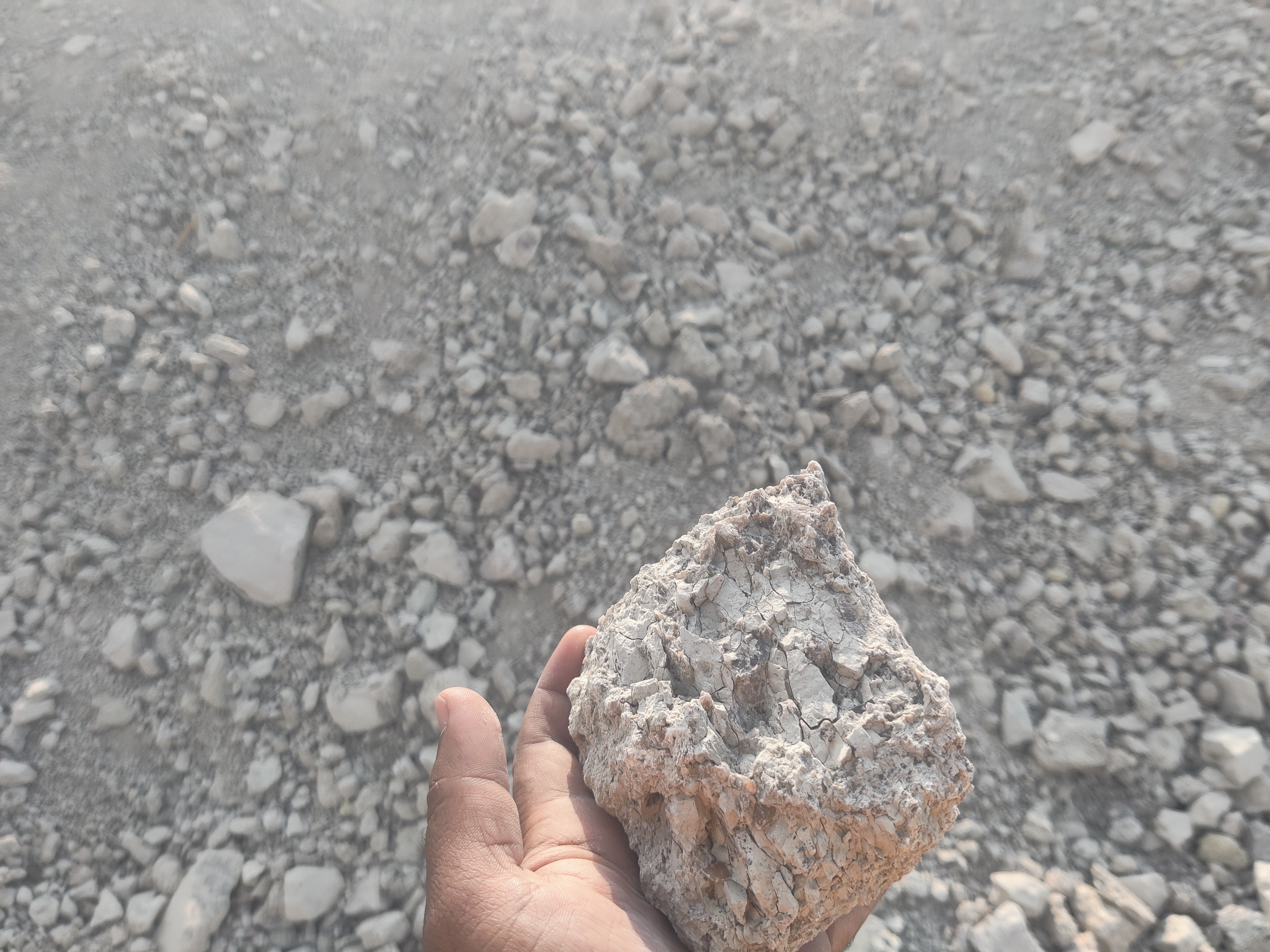 bentonite