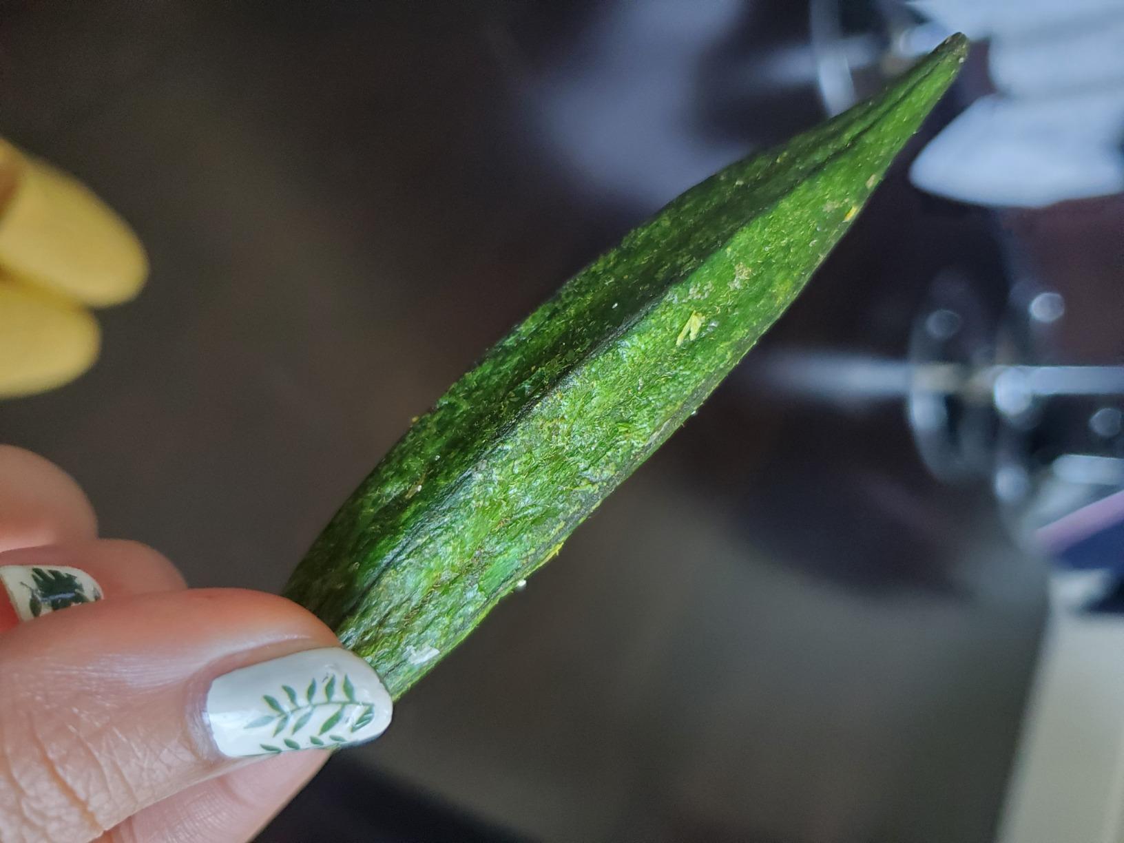 Vaccum Dehydrated Okra