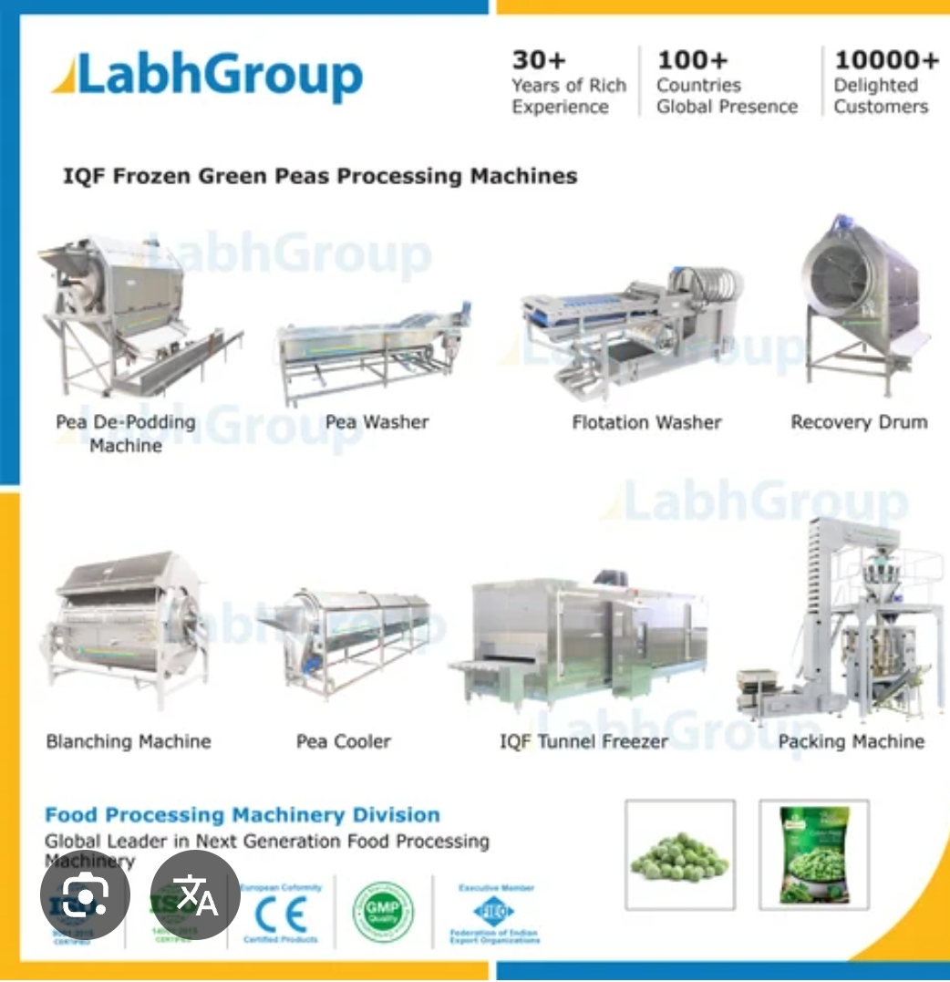 Frozen green peas processing plant